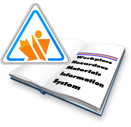 Icon of an documentation book