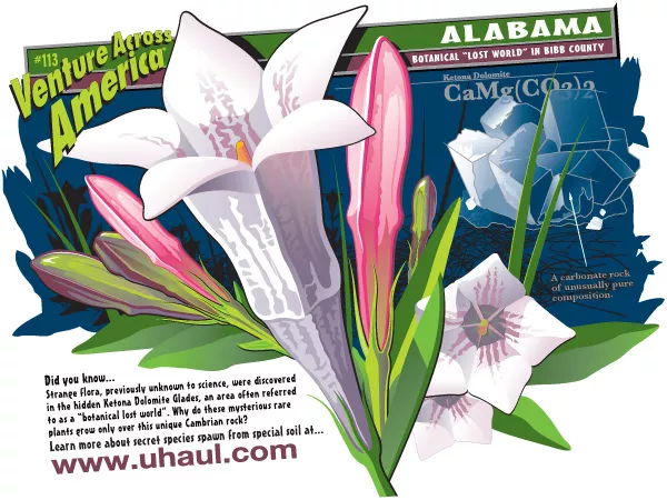 Botanical "Lost World" in Bibb County