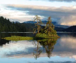 Thorne Bay