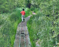 boardwalk