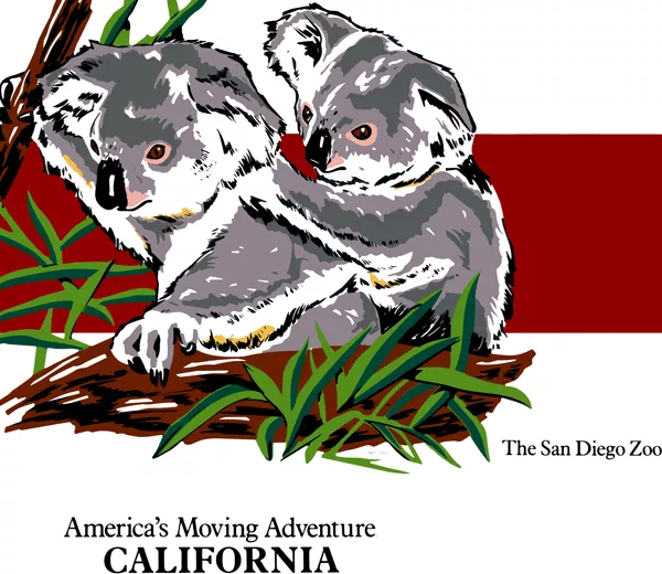 Koalas