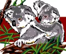 Koalas