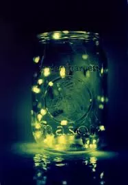 Firefly shot by Terry Priest