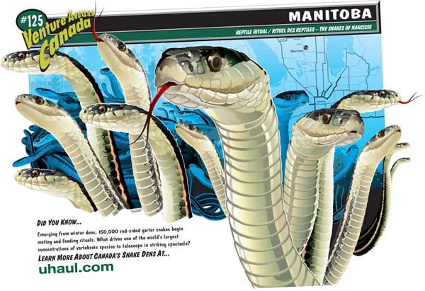 Reptile Ritual / Rituel des Reptiles - The Snakes of Narcisse