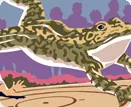 Hannibal, Montana - Frog Jump Contest - National Tom Sawyer Days