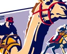 Virginia City, NV - International Camel Races
