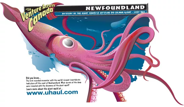 Mystery of the Giant Squid / Le Mystere du Calmar Géant - Logy Bay