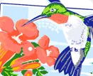 Famous Hummer/Bird celebration - Rockport/Fulton - September